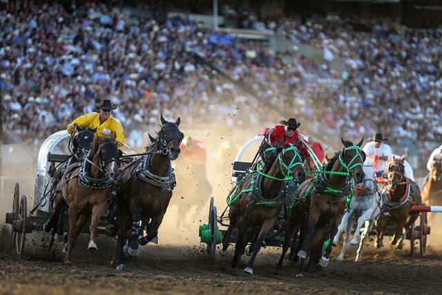 Calgary Stampede Evening Show