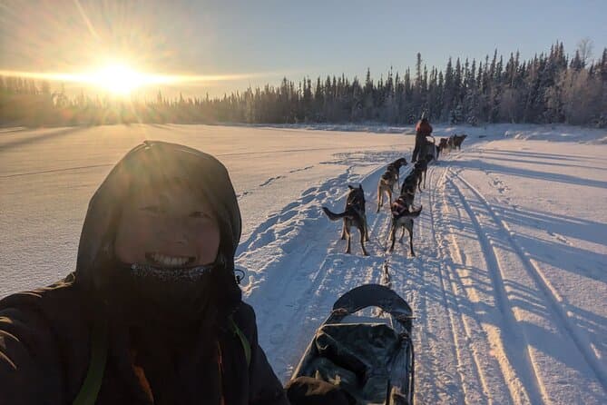 Top-Rated Yellowknife Dog Sledding Tours & Packages