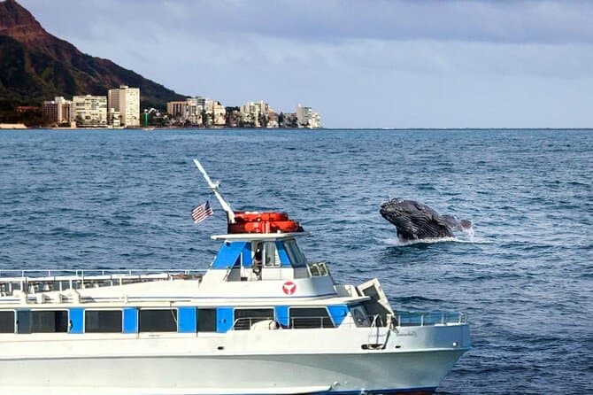 Compare Top-Rated Oahu Whale Watching Tours