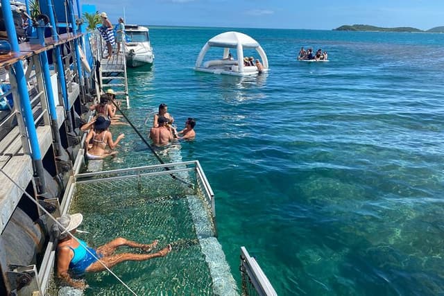 Ponton Day Trip SWIM with fish’s All meals included with LYVAI