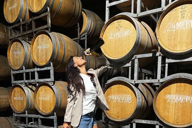 Auckland West Vineyard Tour with lunch and tastings incl