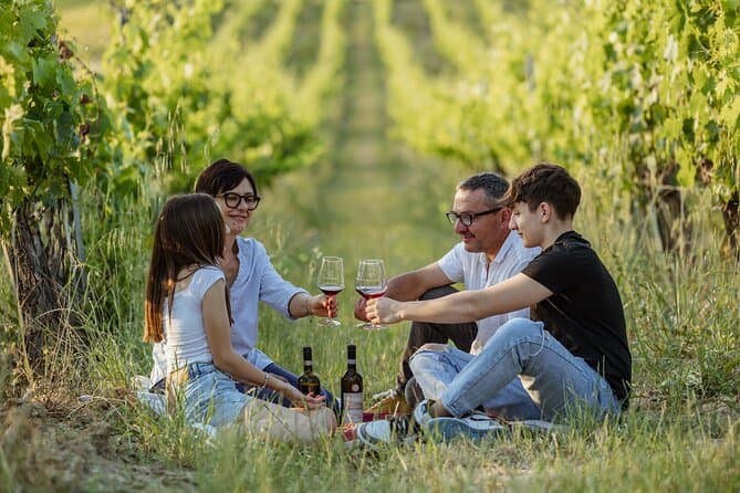 Authentic Montalcino Vineyard Picnic & Wine Tasting