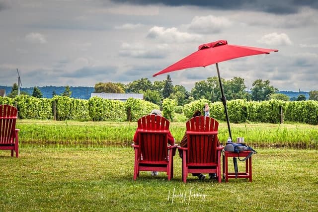 Private Customizable Niagara Falls Wine Tasting Adventure