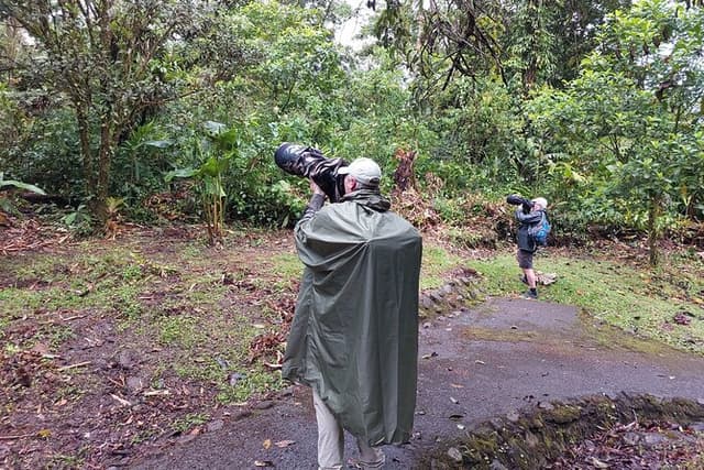 Arenal Half-day Birding and Photography