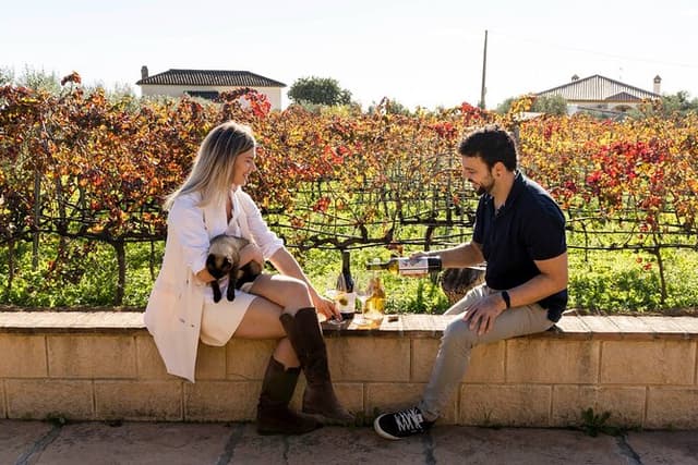 Malaga Organic Vineyard and Winery Six Wines Tapas and Transfer