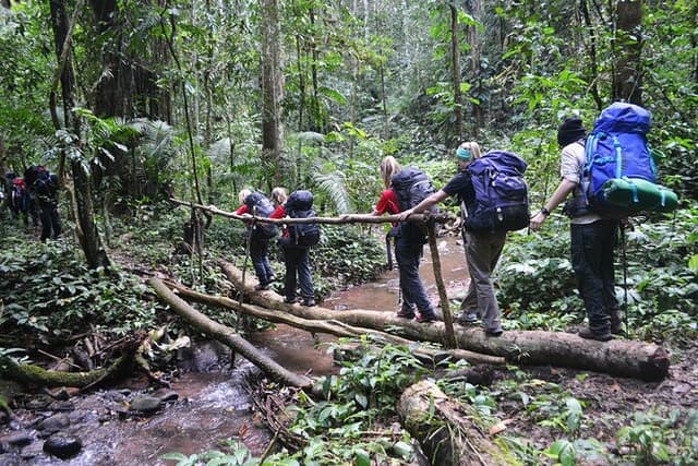 Nalan Trail and Khmu Tribe: 2 Days Trek in Nam Ha NPA