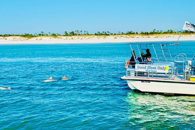 Dolphin Sightseeing Tour near Shell Island in Panama City Beach