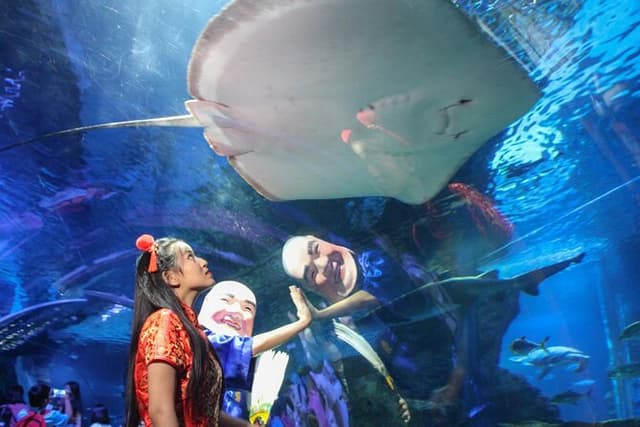 Duo SEA LIFE and Madame Tussauds Ticket in Bangkok