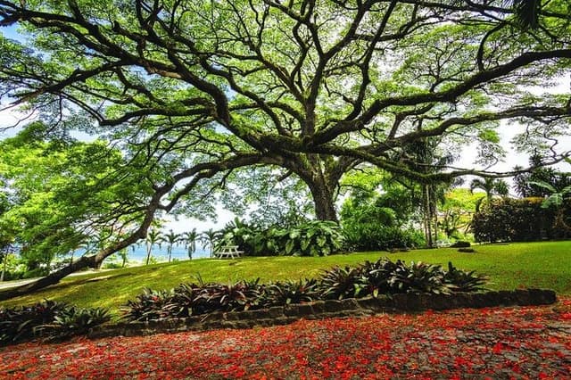 Ken's Panoramic Tour