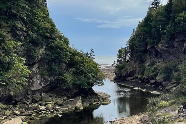 Shore and Hopewell Rocks Guided Tour