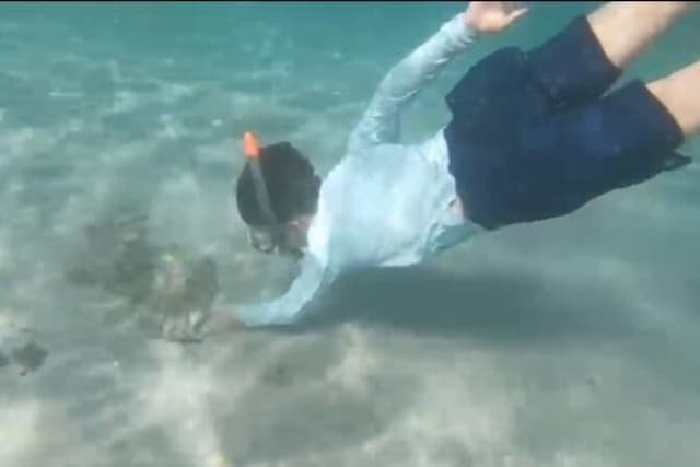 White Sand Beach Jaco Snorkel Adventure with Monkeys
