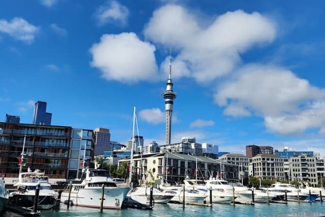 Auckland Highlights Full Day Guided Tour