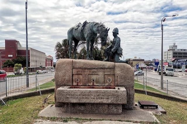 Full-Day Port Elizabeth & Kragga Kamma Reserve