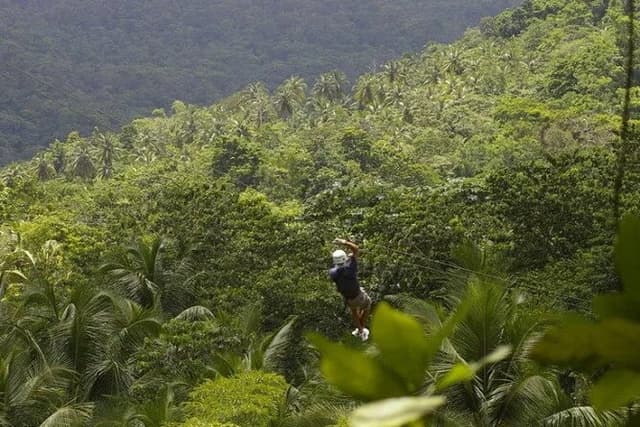 Drive and Fly - Buggy and Zipline