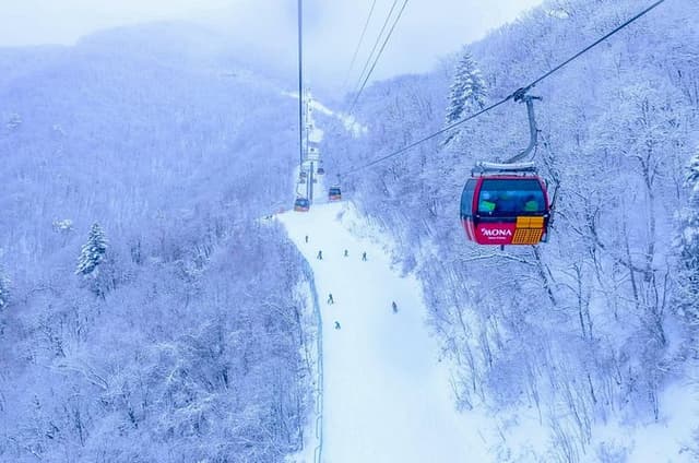 Balwangsan Cable Car and Daegwallyeong Ranch Adventure