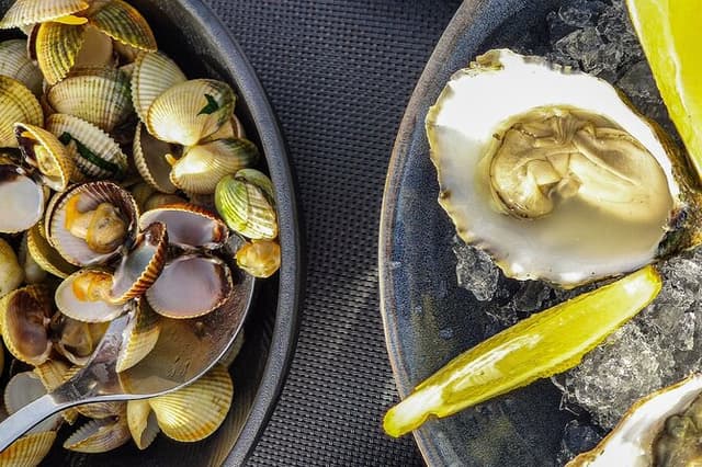 Faro Food Tour & Drinks and City highlights 10 Tastings