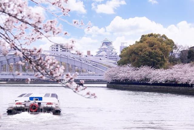 Osaka 1 Day Walking Tour with River Cruise from Osaka or Kyoto
