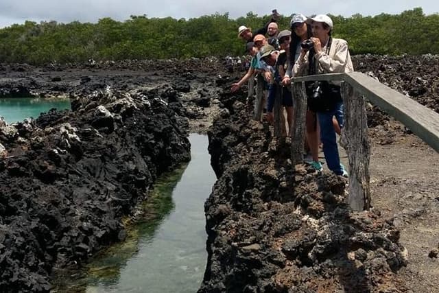 Tintoreras Islet Tour from Isabela - Hiking & Snorkeling