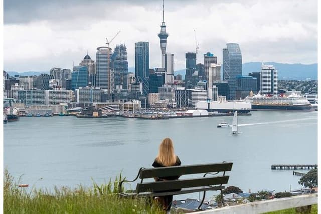 Auckland Private City Highlights Tour 5hrs Sightseeing Experience