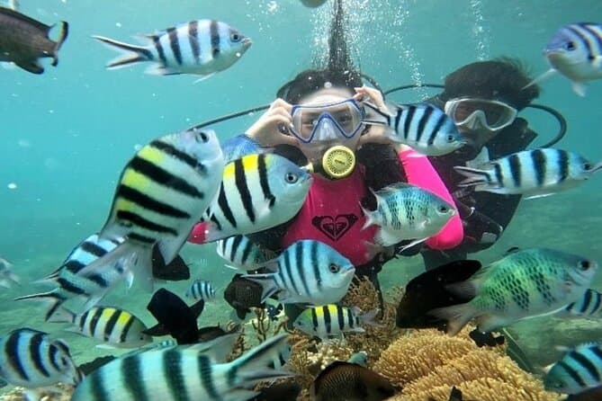 Best Nha Trang Island Snorkeling & Beach Party Tours