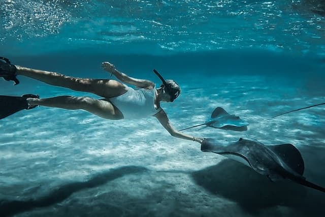Moorea Private Half Day Snorkeling Experience