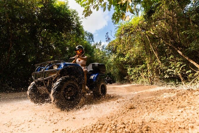 Best Cancun Jungle Tours & Rainforest Adventures
