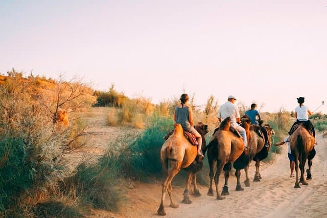 Luxury Bukhara–Samarkand Transfers: Travel the Silk Road