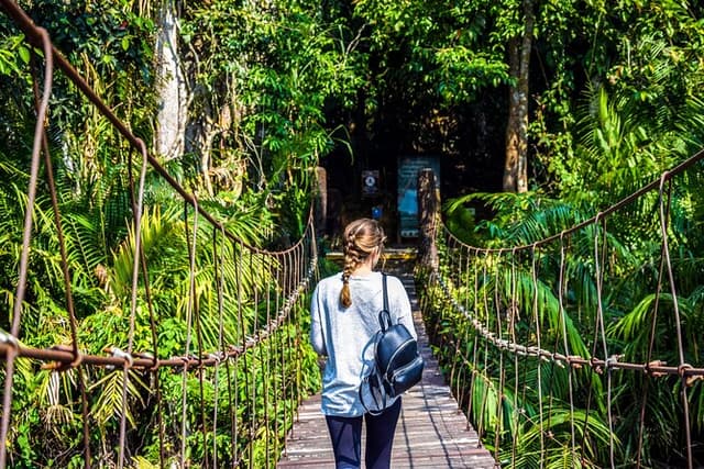 Khao Yai National Park Full Day Tour from Bangkok