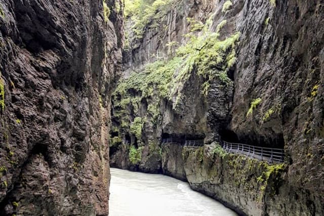 Lake Waterfall Aare Gorge CLOY Pier Iseltwald Sightseeing Private
