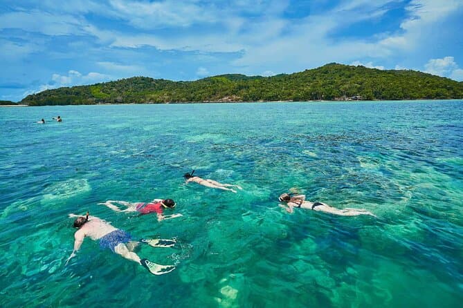 Unforgettable Pig Island Boat Trip & Koh Madsum Tour
