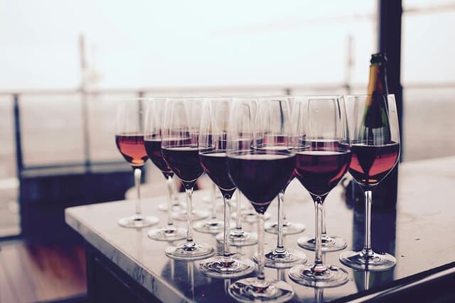 Wine Tasting and Cheese Platters All Inclusive