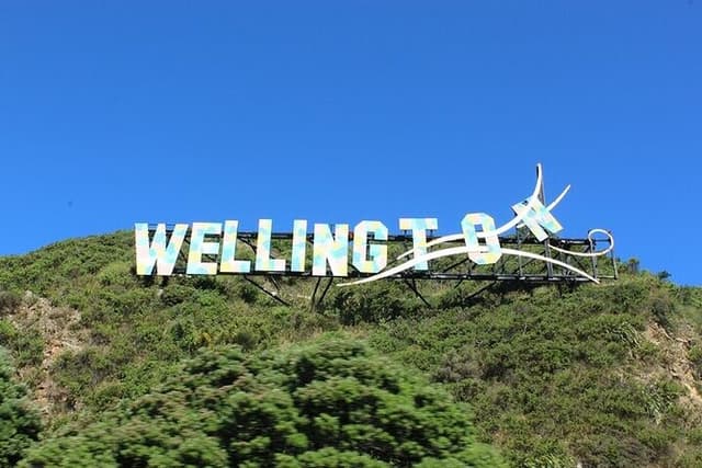 Welcome to Wellington: Private Luxury City & Scenic Bay Tour