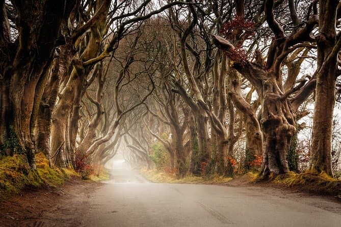Best Giant's Causeway Tours & Belfast Day Trips