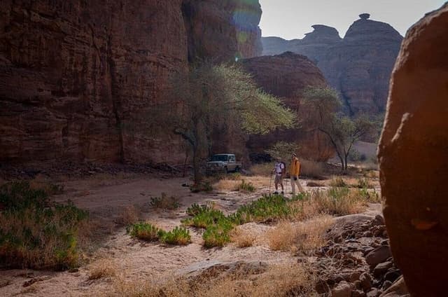 Alula Peaks Valley Trail Hike
