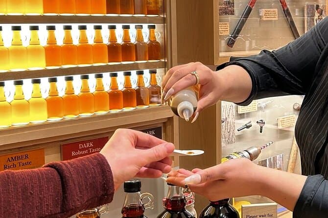 Gourmet Culinary Adventures in Niagara-on-the-Lake