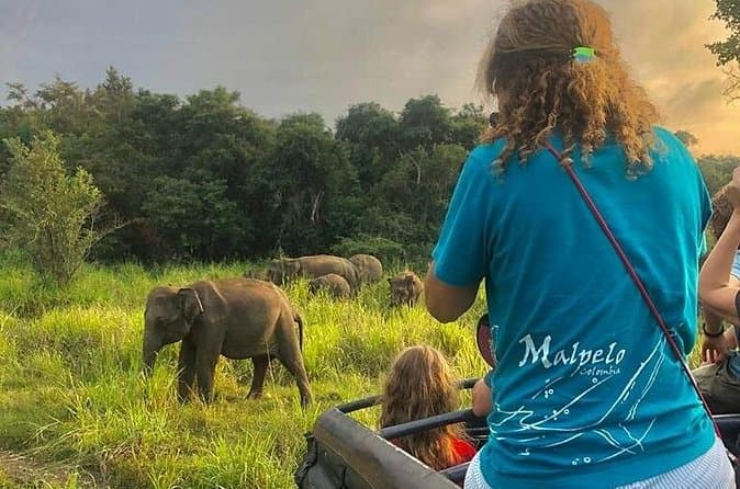 Best Hurulu Eco Park Safari Tours