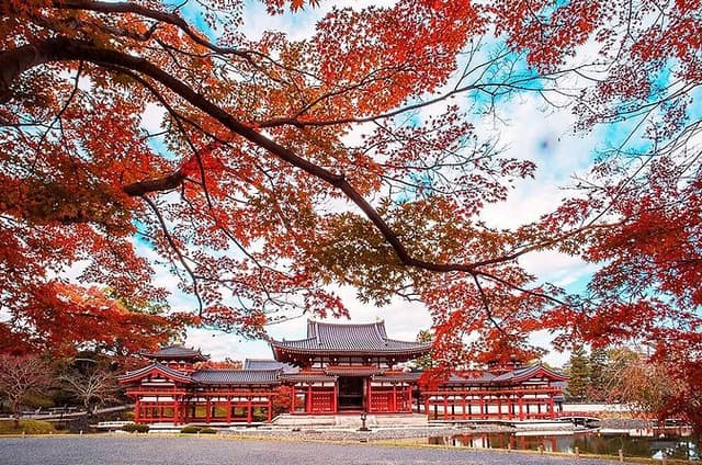 Kyoto Uji Matcha Experience & Nara Private 1-Day Tour