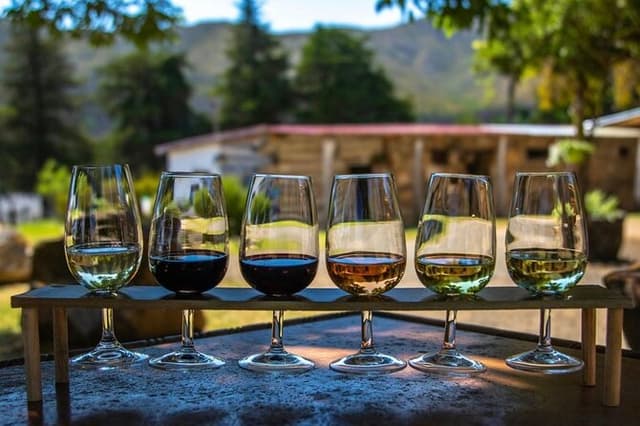 Waipara Wine Trail Private Group Tour From Christchurch