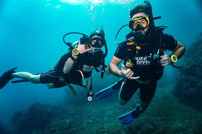 Compare Advanced Scuba Training Tours