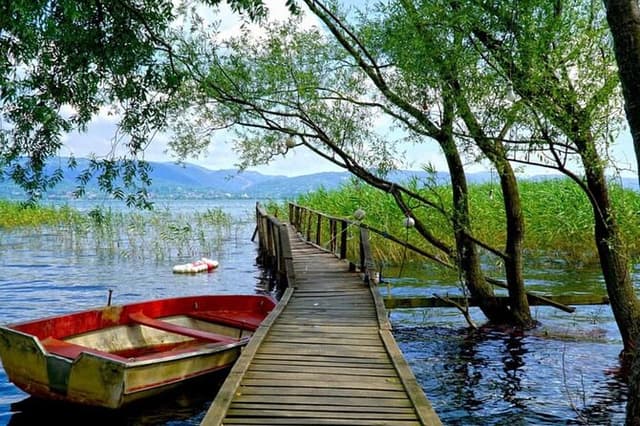 Full Day Sapanca Tour with Lunch and Transfer From Istanbul
