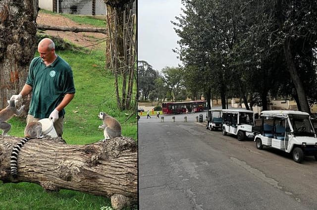 Rome: Entrance ticket Zoo + Golf Cart tour of Villa Borghese