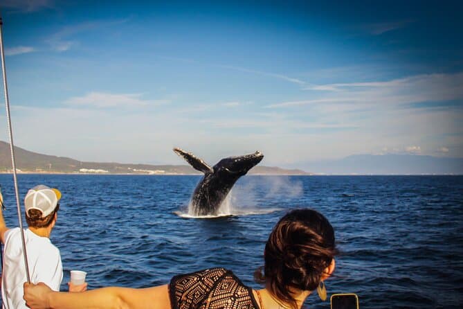 Compare Top-Rated Yacht Charters in Puerto Vallarta