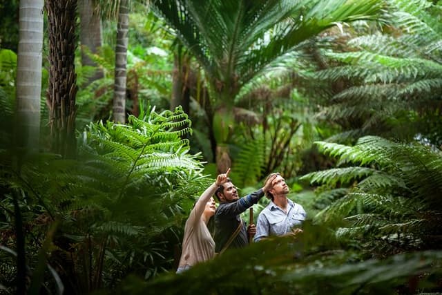 Aboriginal Heritage Walk - Royal Botanic Gardens Victoria, Melbourne Gardens