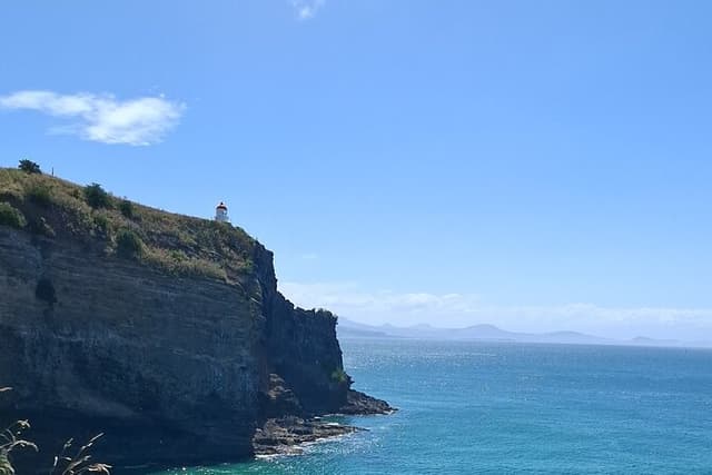 Private Dunedin & Otago Peninsula Tours Up to 4 people