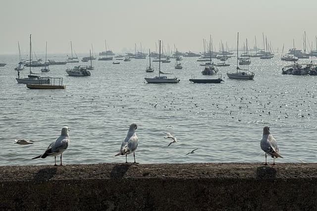 Mumbai: A Symphony of Seven Islands - Get Local in 1 Day