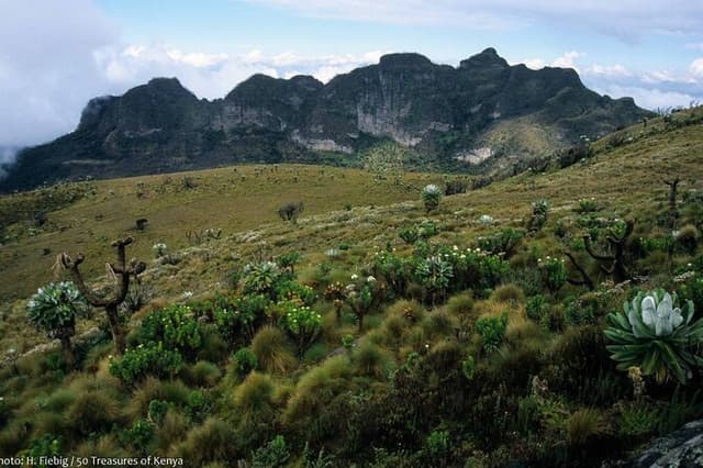 Overnight Safari To Aberdare National Park From Nairobi