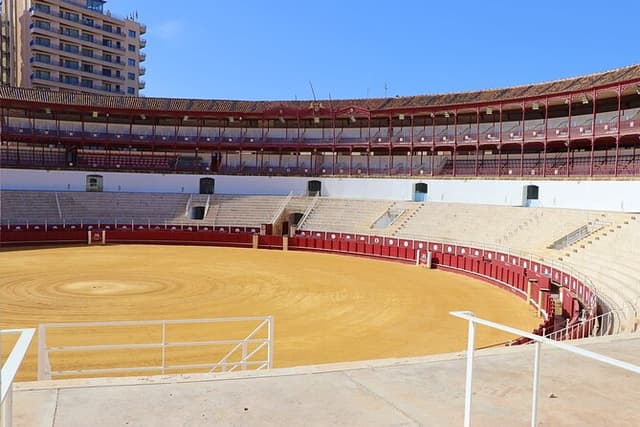 Tour of Malaga Bullring & Bullfighting Museum with Audioguide