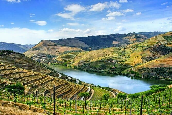 Compare Best Porto-Douro Transfers
