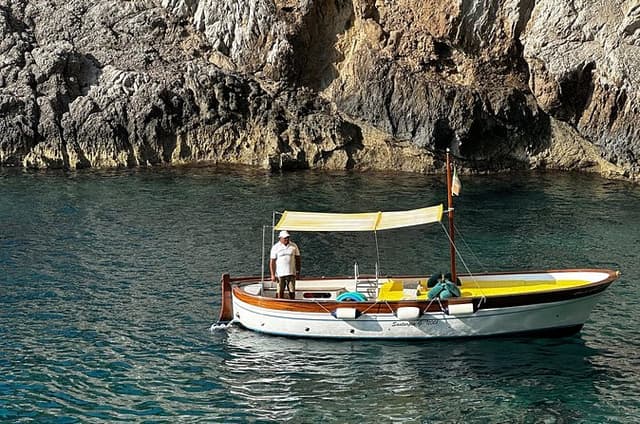 Private 4 Hours Island of Capri Tour