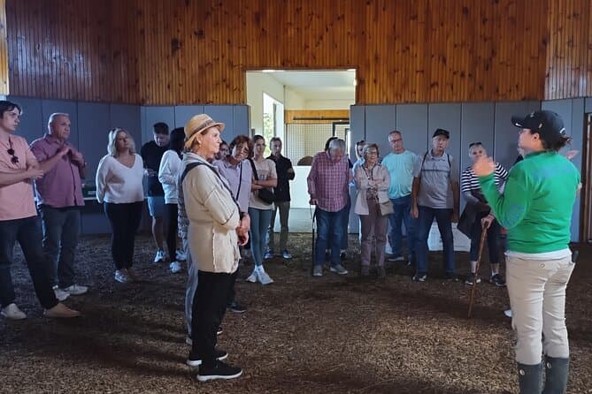 Explore Premier Lexington Kentucky Horse Farm Experiences